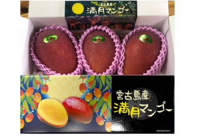 宮古島産 満月マンゴー